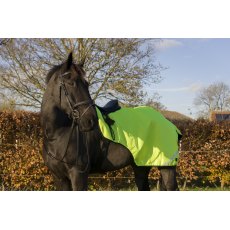 Cameo Equine Wrap Around Exercise Sheet