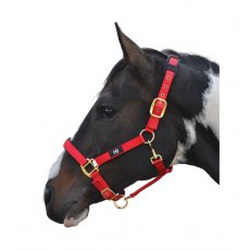 Hy Deluxe Padded Headcollar