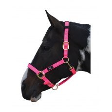 Hy Deluxe Padded Headcollar Hy Deluxe Padded Headcollar