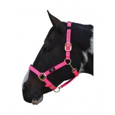 Hy Deluxe Padded Headcollar