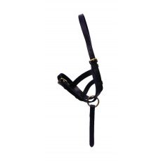 Hy Leather Foal Slip Hy Leather Foal Slip