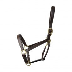 Hy Coldstream Padded Leather Head Collar Hy Coldstream Padded Leather Head Collar