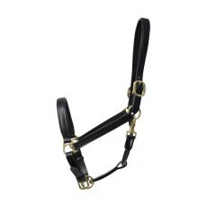 Hy Coldstream Padded Leather Head Collar Hy Coldstream Padded Leather Head Collar