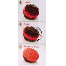 Solo Brush Solo Brush