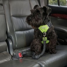 Weatherbeeta Anti Pull/Travel Harness