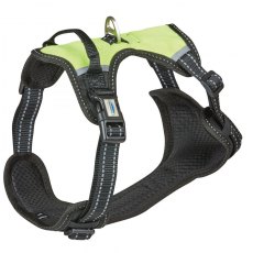 Weatherbeeta Anti Pull/Travel Harness