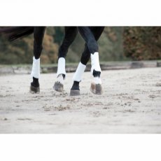 Catago Dressage Boots - White