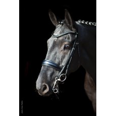 Schockemohle Milan Bridle