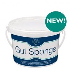 Gut Sponge Gut Sponge