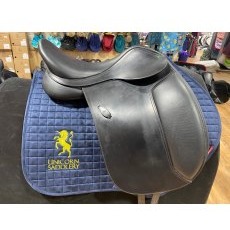 Arena Dressage