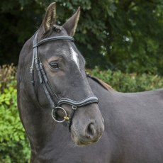 Ecorider Ecosoft Finesse Bridle