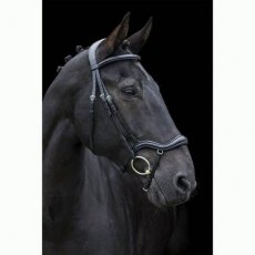 Ecorider Ecosoft Finesse Bridle