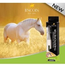 Lincoln Digital Thermometer Lincoln Digital Thermometer