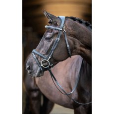 LeMieux Work Bridle