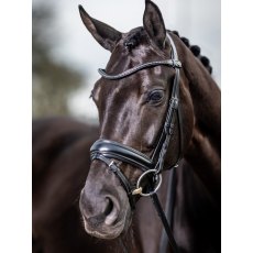 LeMieux Classic Dressage Bridle