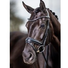 LeMieux Classic Dressage Bridle