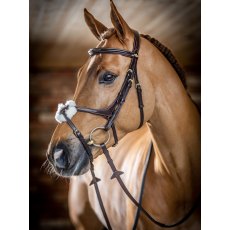 LeMieux Grackle Bridle