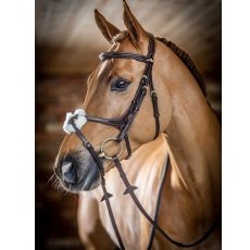 LeMieux Grackle Bridle LeMieux Grackle Bridle