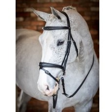 LeMieux Competition Flash Bridle LeMieux Competition Flash Bridle