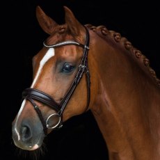 Schockemohle Stanford Wide Bridle