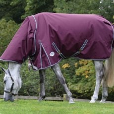 Weatherbeeta Comfitec Plus Dynamic II Detach-A-Neck Heavy Weatherbeeta Comfitec Plus Dynamic II Detach-A-Neck Heavy