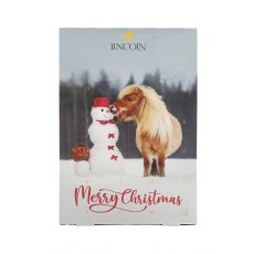 Lincoln Snowman Advent Calendar