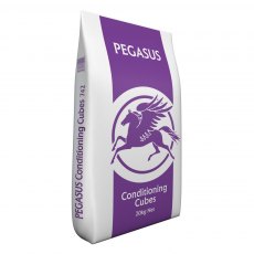 Pegasus Conditioning Cubes