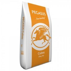 Pegasus Value Cubes Pegasus Value Cubes