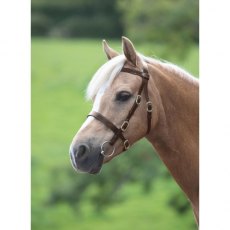 Shires Velociti GARA Plain Inhand Bridle