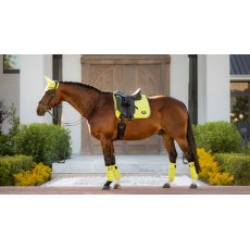 LeMieux Loire Classic Dressage Square - Kiwi