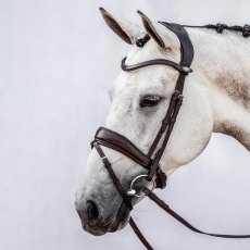 PS of Sweden Flying Change Bridle