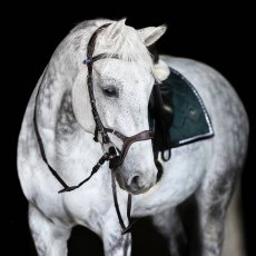 PS of Sweden Nirak Bridle