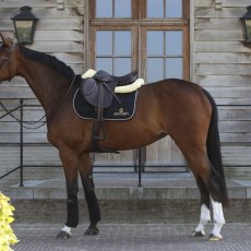 Kentucky Logo Saddle Pad