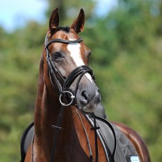 Passier Apollo Snaffle Bridle w/ Rubber Reins