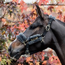 Kentucky Nylon Sheepskin Head Collar