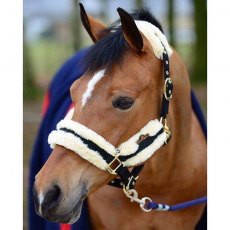 Kentucky Nylon Sheepskin Head Collar