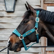 Kentucky Velvet Head Collar