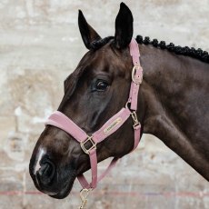 Kentucky Velvet Head Collar