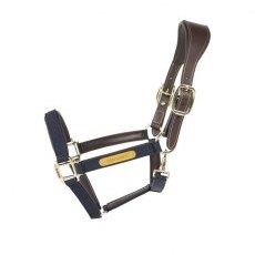 Kentucky Nylon Anatomic Head Collar Kentucky Nylon Anatomic Head Collar