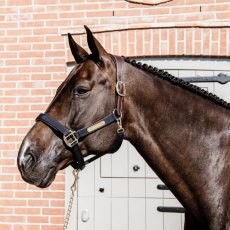 Kentucky Nylon Anatomic Head Collar Kentucky Nylon Anatomic Head Collar
