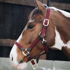 Kentucky Plaited Nylon Head Collar