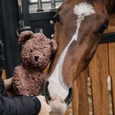 Kentucky Relax Toy Bear Kentucky Relax Toy Bear