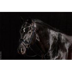 Schockemohle Stanford Glam Bridle