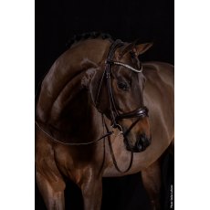 Schockemohle Westminster Bridle