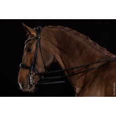 Schockemohle Kensington Bridle