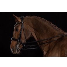 Schockemohle Kensington Bridle Schockemohle Kensington Bridle