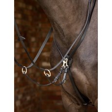 LeMieux Kudos Running Martingale