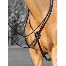 LeMieux Kudos Running Martingale
