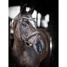 LeMieux Arika Dressage Bridle