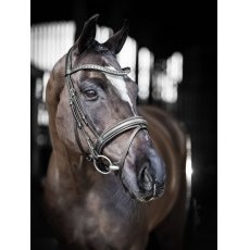 LeMieux Arika Dressage Bridle